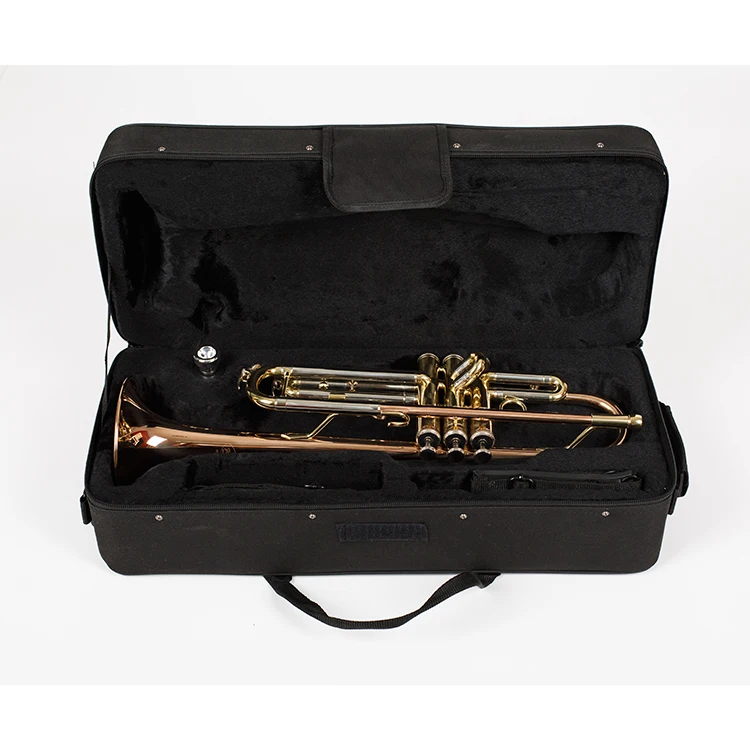 trumpet with case