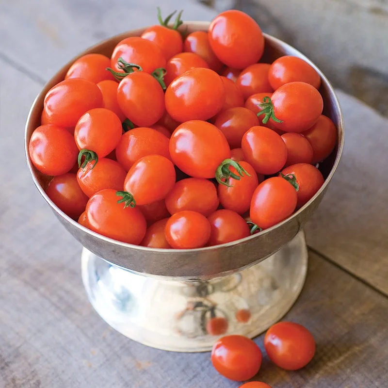 
Mexico Grown Fresh Red Tomato Roma Robinson Fresh MOQ 10 pieces Quick Delivery in US 