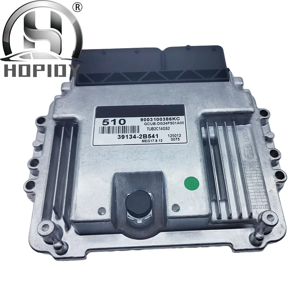 39119-2B331 391192B331 Car ECU