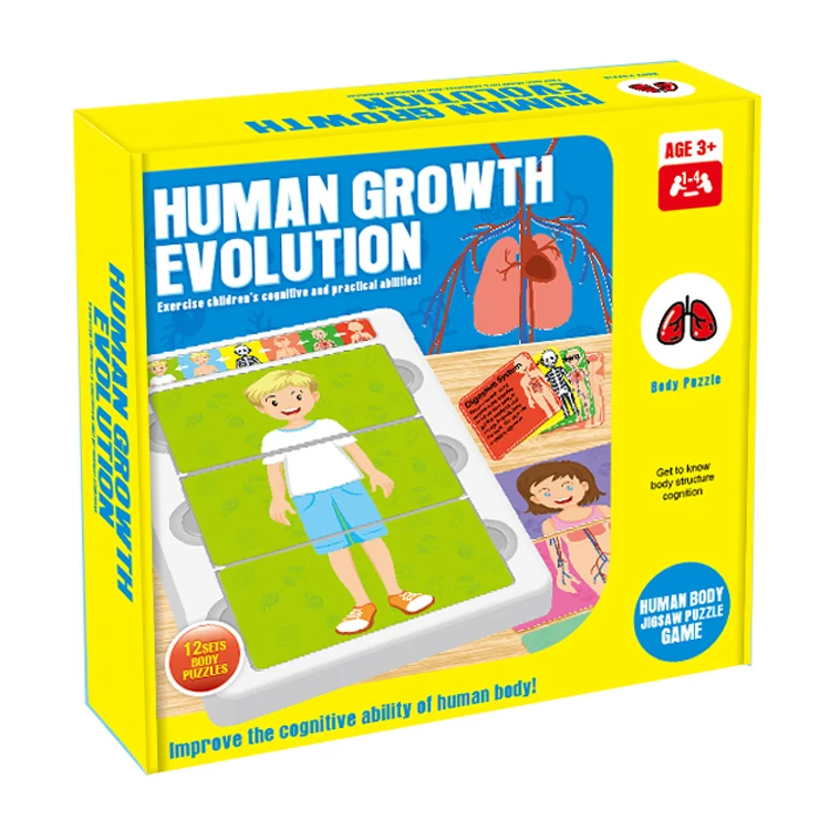 human body educational toys