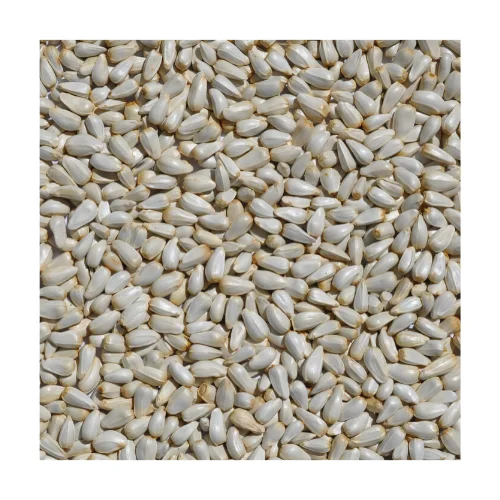 
Russian Safflower seeds 