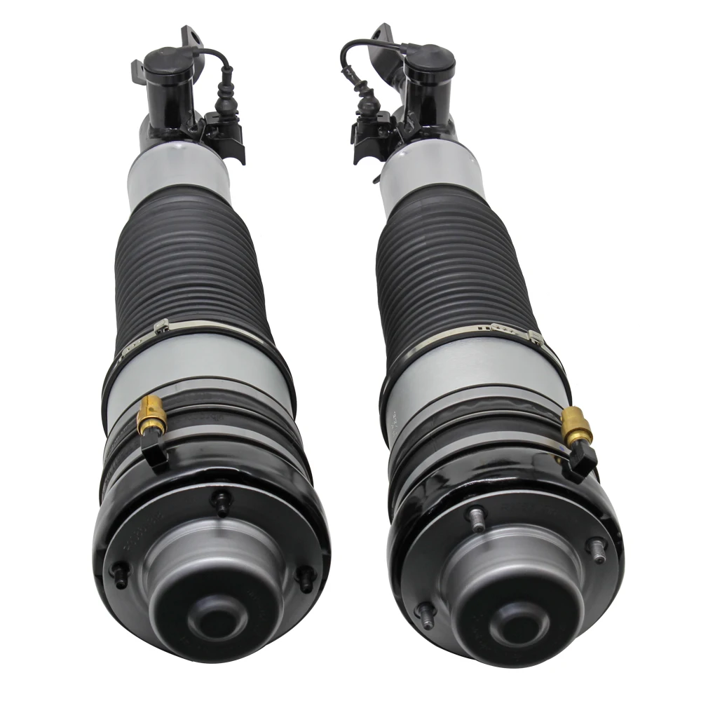 奥迪a6和s6 (c6 /4f) 的前空气悬架减震支柱4f0616040n