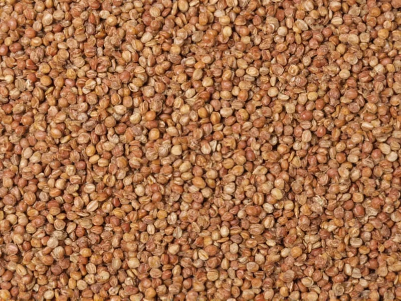 Lentils: High Protein Plant Powerhouse (18g Per Cup)