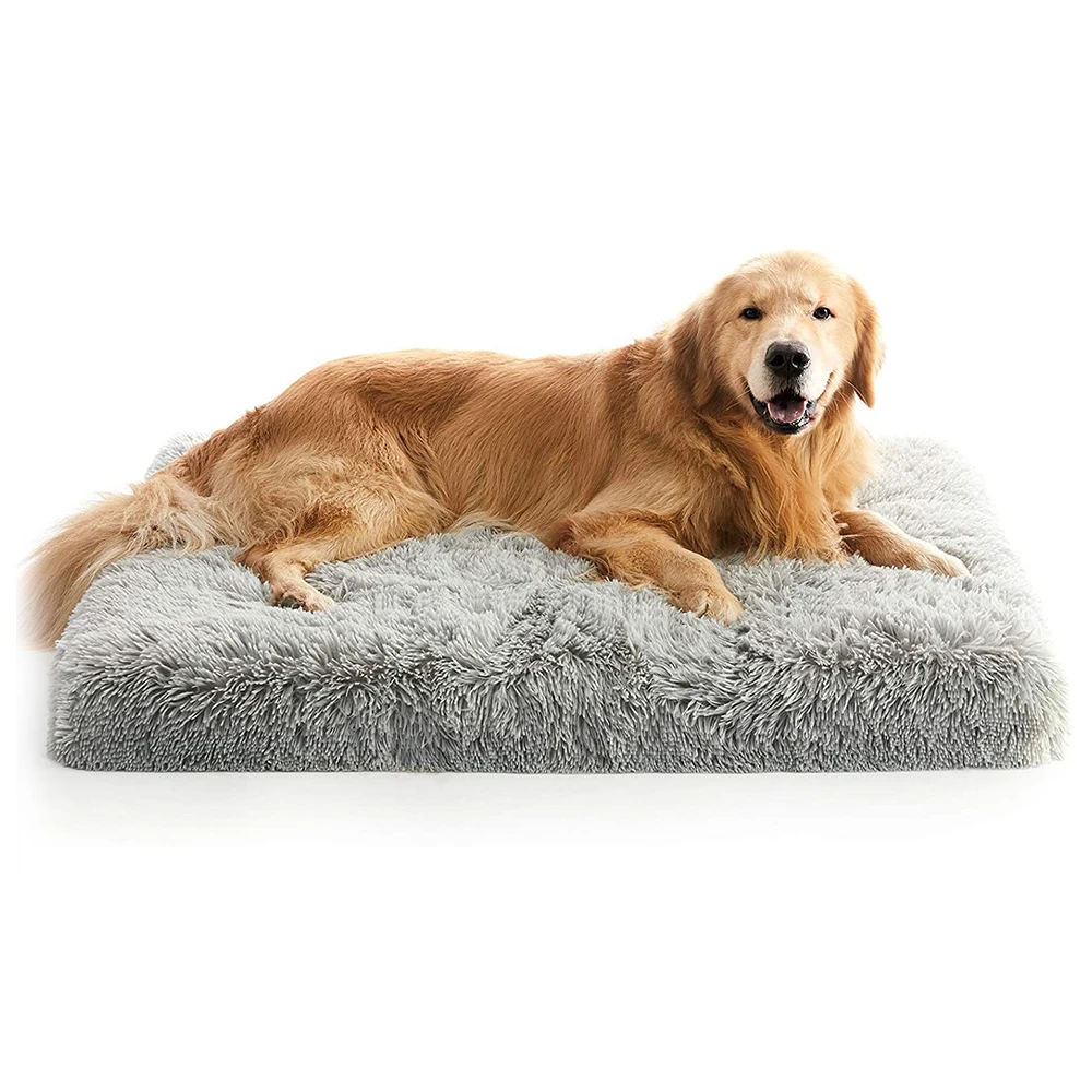 Luxury Manufacturer Egg Crate Foam Filled Orthopedic Dog Bed Soft Plush Dog Mat, Gray,brown or custom
Luxury Manufacturer Egg Crate Foam Filled Orthopedic Dog Bed Soft Plush Dog Mat, Gray,brown or custom