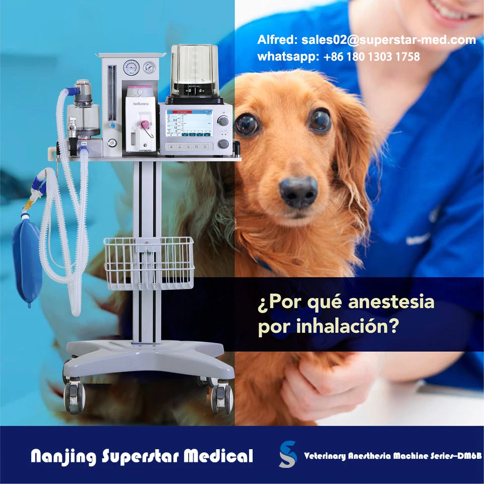 Dm6b Veterinary Medical Anesthesia Equipment Buy Medical Aesthetic