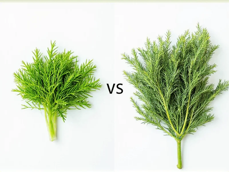 Dill vs Dill Weed: Clearing Up the Culinary Confusion