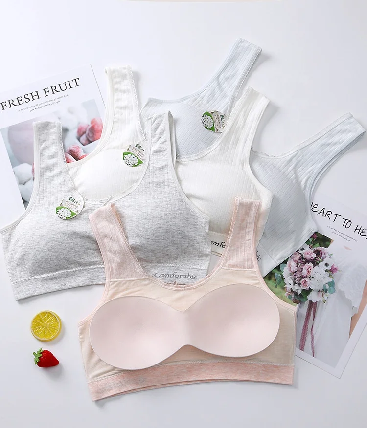 

New Style Bra  Wire Free Sports Vest Women's Bra Fashion Girl Vest Crop Top Girls Bra