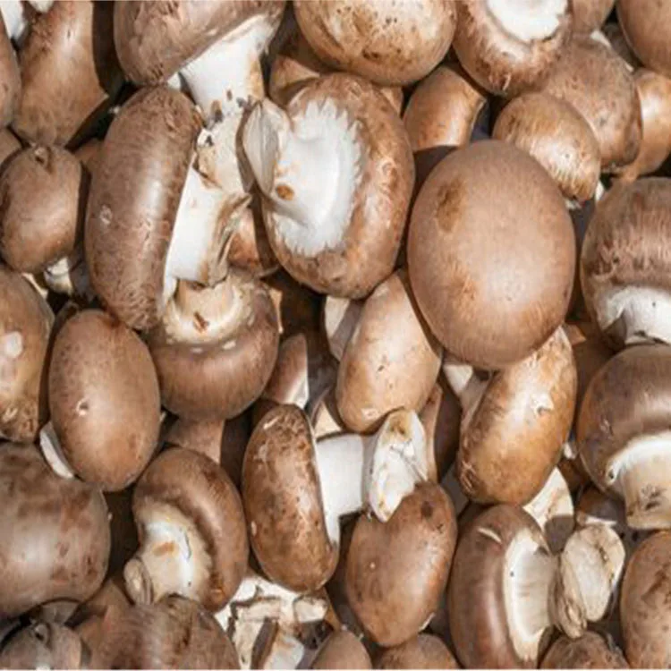 
Factory supplying wholesale fresh shiitake mushroom 
