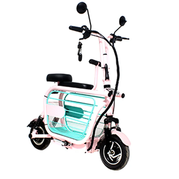 

Anti dumping solution free tax 350W Folding E-bike Bicycle 48v Electric City Bikes