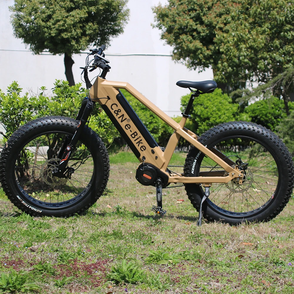 

2020 Dual battery fat tire mid drive ebike 48V 750W mountain beach cruiser electric bicycle