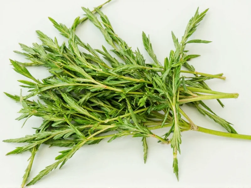 Dried to Fresh Herb Conversion: Exact Ratios for Cooking