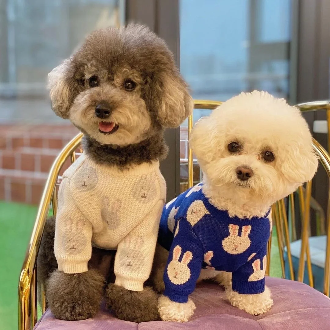 

INS Cute Rabbit Partter Winter Cat Dog Sweater Knitted Dog Sweater Pet Apparel Dog Clothing Accessories