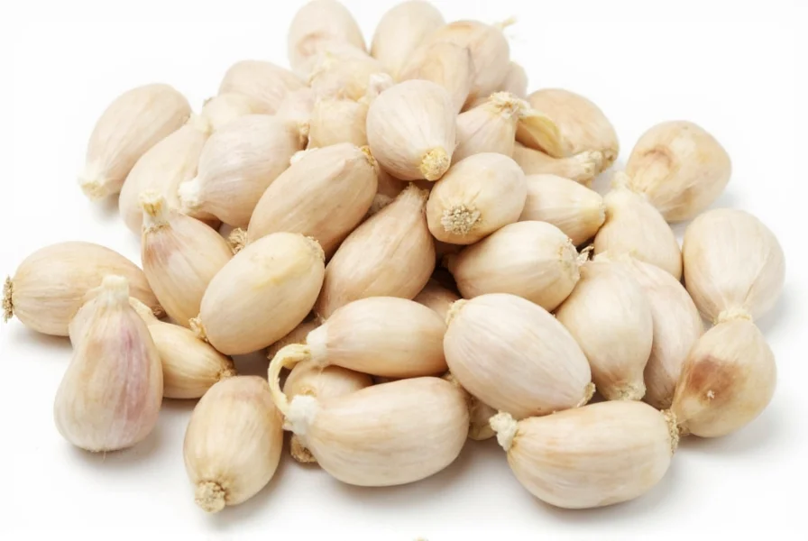 garlic clove what is