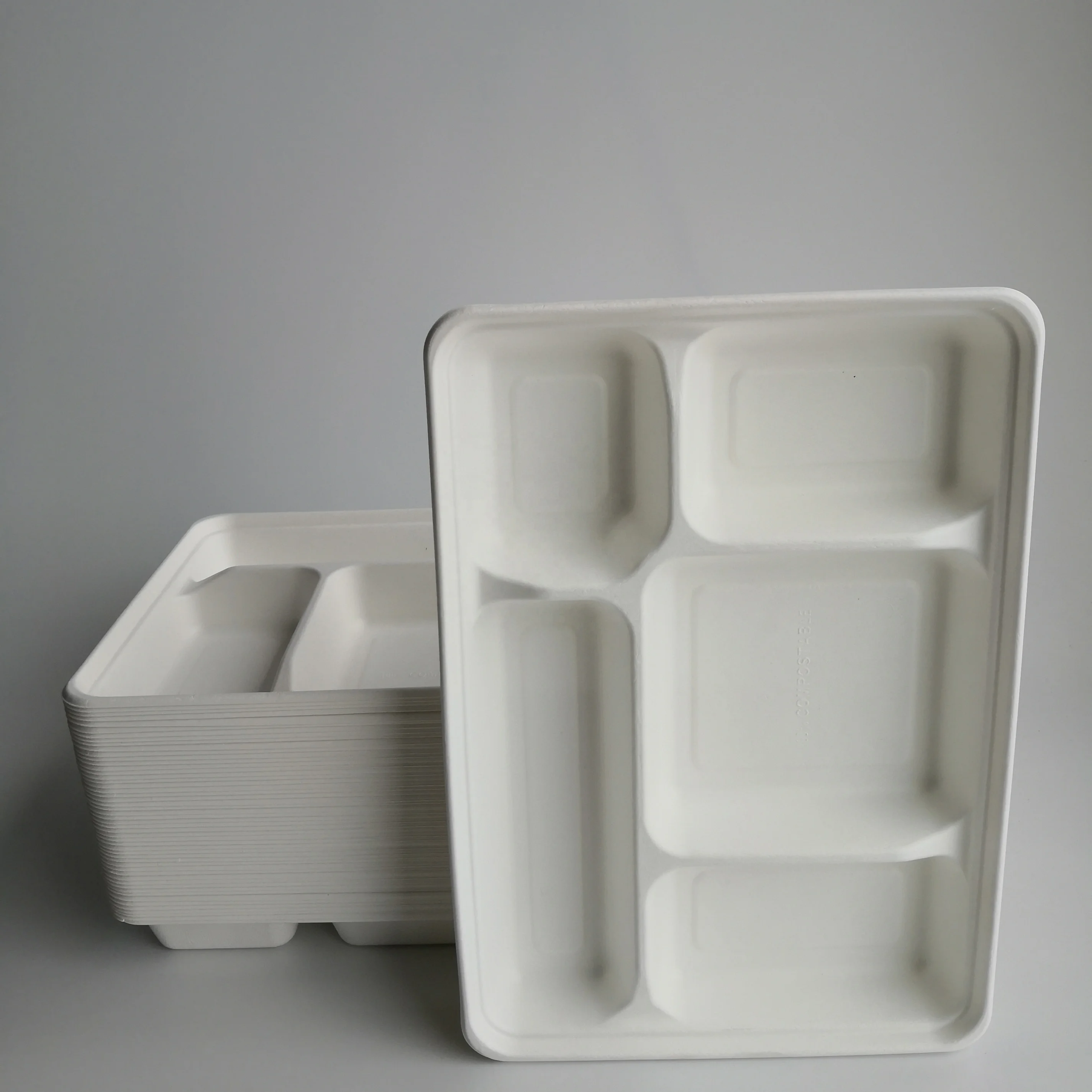 Disposable Food Tray With Bagasse 5 Compartments Biodegradable Lunch