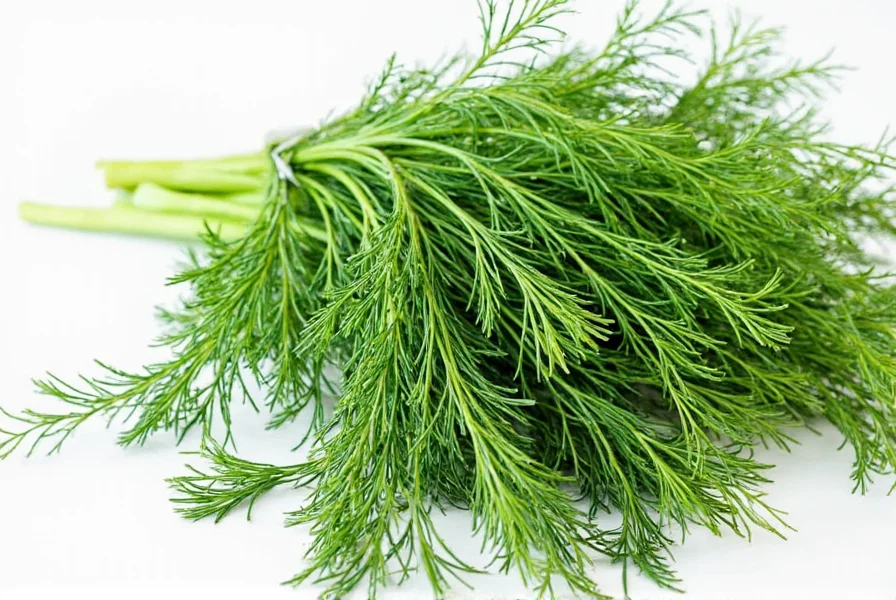 Dill Weed
