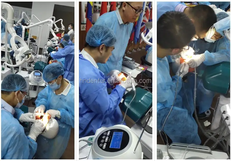 Dental dummy head  gb
