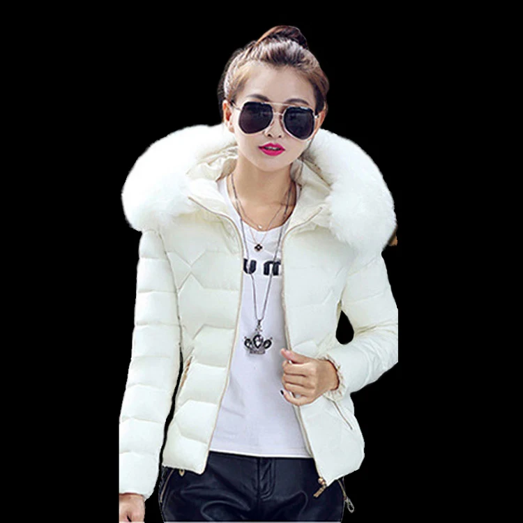 

Winter 2020 new women's cotton-padded short jacket with big fur collar down coat