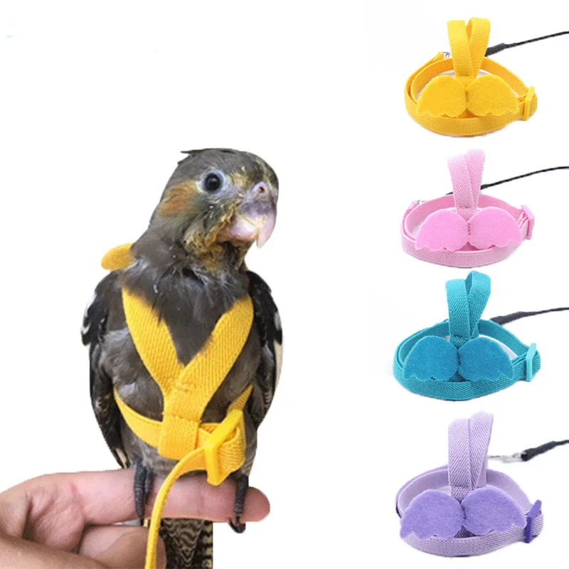 

Pet Parrot Bird Harness Leash Flying Rope Straps Outdoor Training Traction Rope For Small Birds, Picture