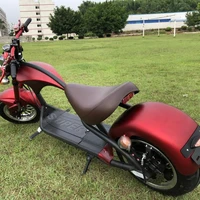 

EEC European Warehouse Stock Electric Scooter Newest model Fashion Design 20AH 2000W Citycoco