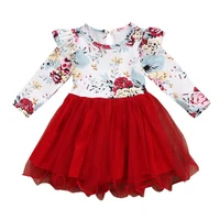 

Baby girl long sleeve broken flower dress gauze princess awning dress