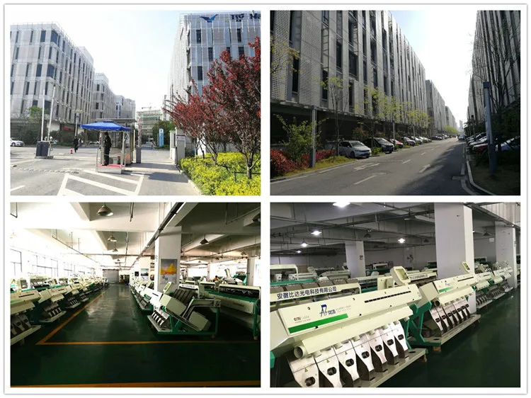 
PP PET bottle flake CCD color sorter machine, waste plastic color separator, PE bottle cap plastic color sorter 