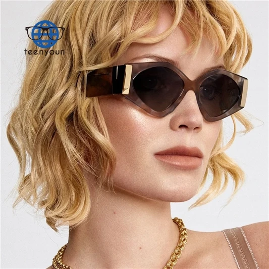 

Teenyoun Hot Sale Fashion Retro Personality Custom Logo Trend Design Ladies Premium Sunglasses 2023 New Cat Eye Small Square