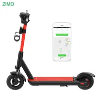 

2G/3G/4G OEM GPS Bird Mechanical Lock GPS Tracked Electric Scooters, Swappable Battery Sharing Electric Scooter with GPS