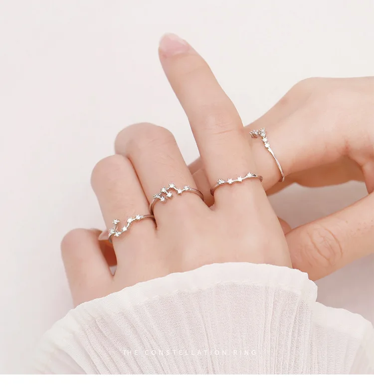 

RFJEWEL Etsy hot seller Wholesale 2021 New arrivals 925 sterling silver 12 zodiac ring Fashion Crystal Astrology Finger Rings