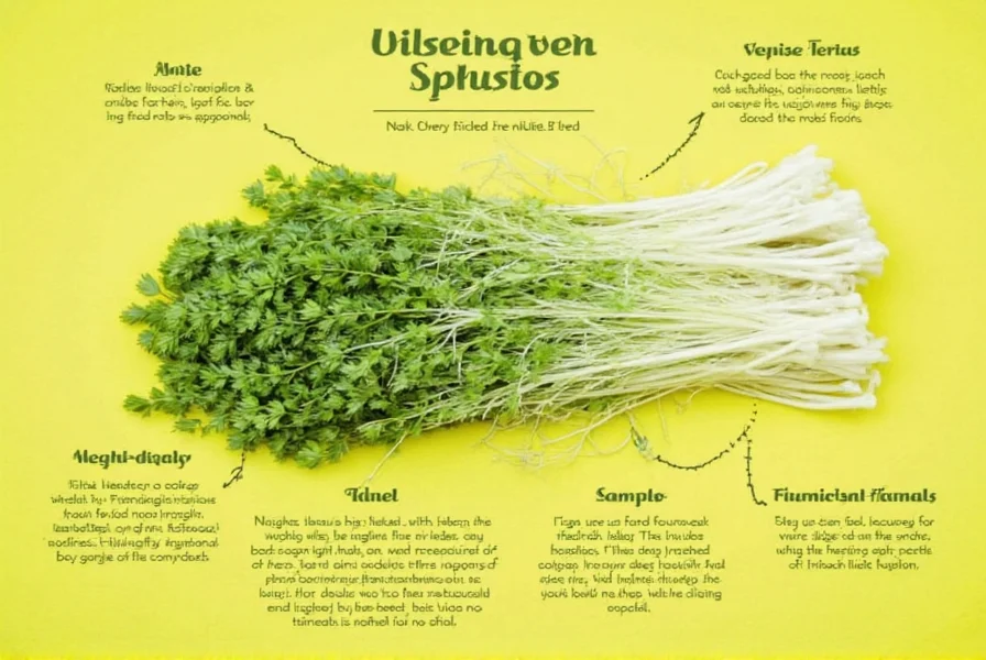 Side-by-side comparison of fresh fennel bulb with feathery fronds and anise seeds in close-up