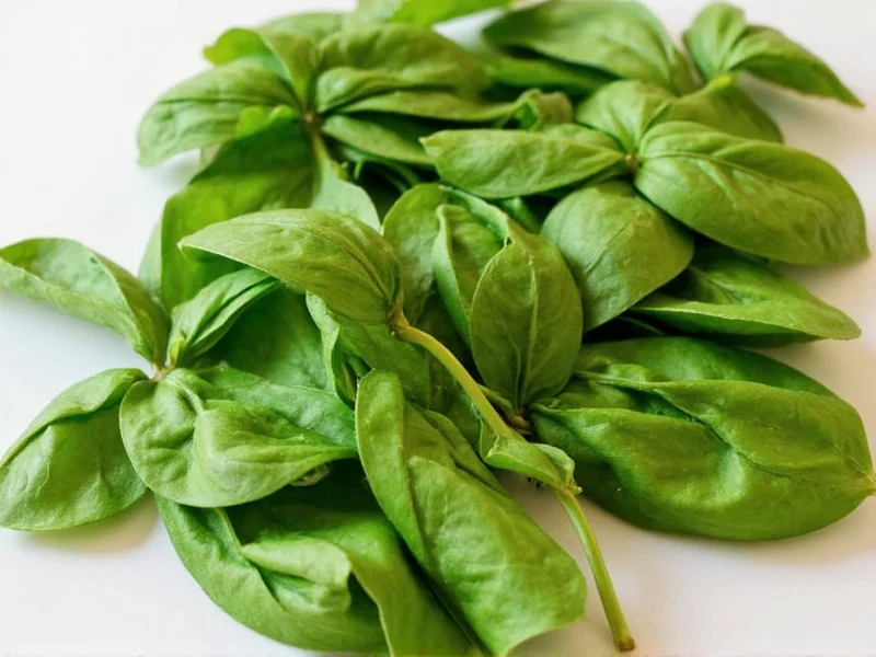 How to Dry Sweet Basil Leaves: 4 Effective Methods