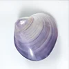 Bali sea natural lava shell polished as a carved gift empty shell