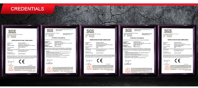 professional dartboard