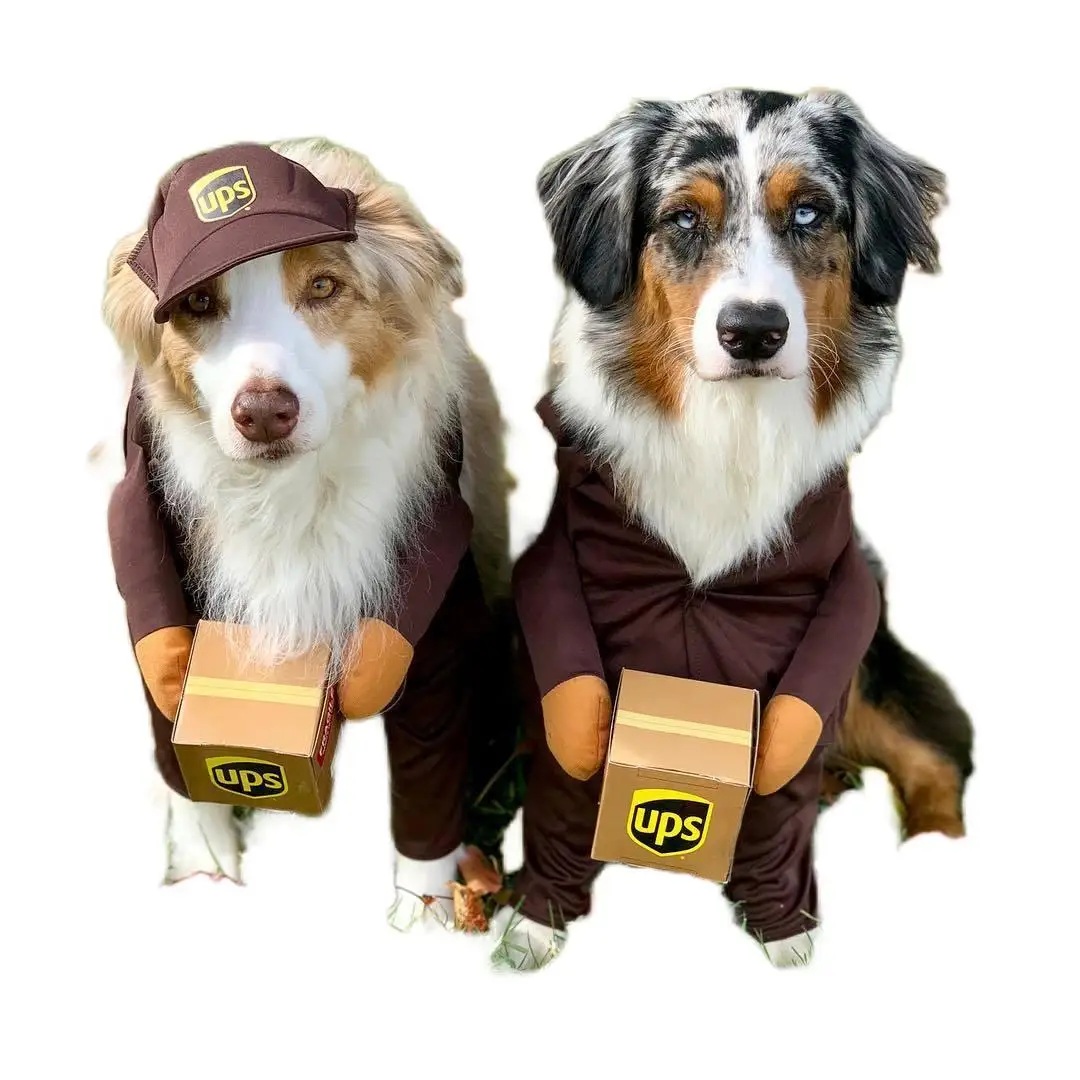 

hot sell fashion design funny cos play dog suit
