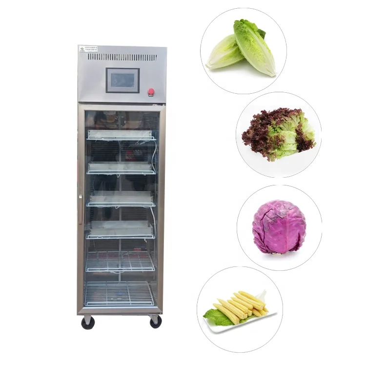 
Automatic salad vegetable planters, such as sesame, chicory and lettuce, come from sunlight machinery 