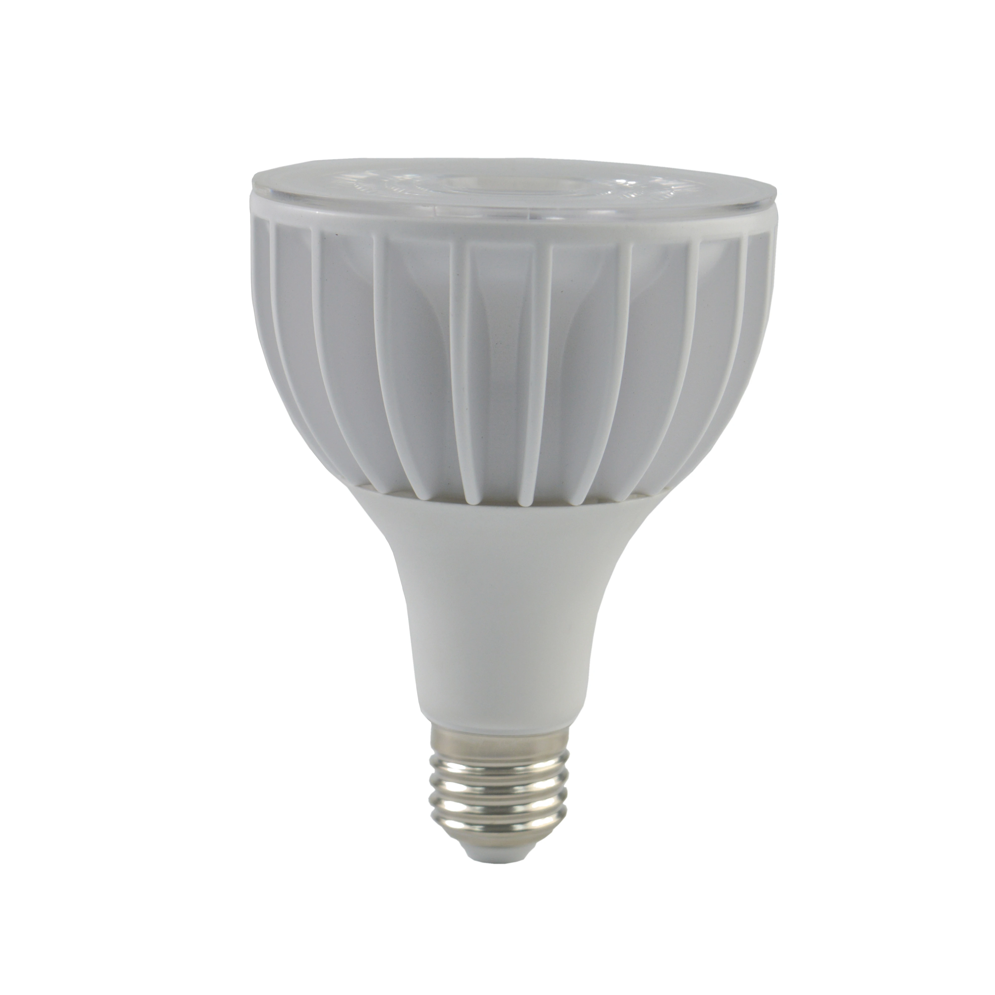 CE RoHs High Efficiency E27 Base LED Spotlight 20W 30W COB LED Lamp  PAR30 Bulb