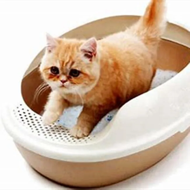 Kot Ferace Caes E Gatos Toilette Chat Autonettoyant Cat Litter Box Buy Caes E Gatos Kot Ferace Toilette Chat Autonettoyant Product On Alibaba Com