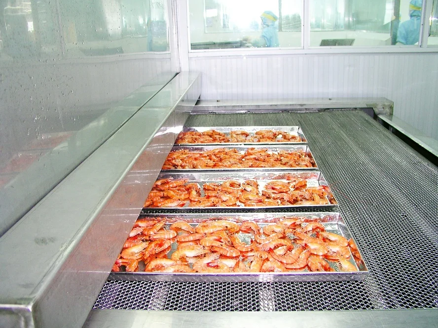 
High quality 1000kg/h IQF tunnel quick freezer for seafood processing 
