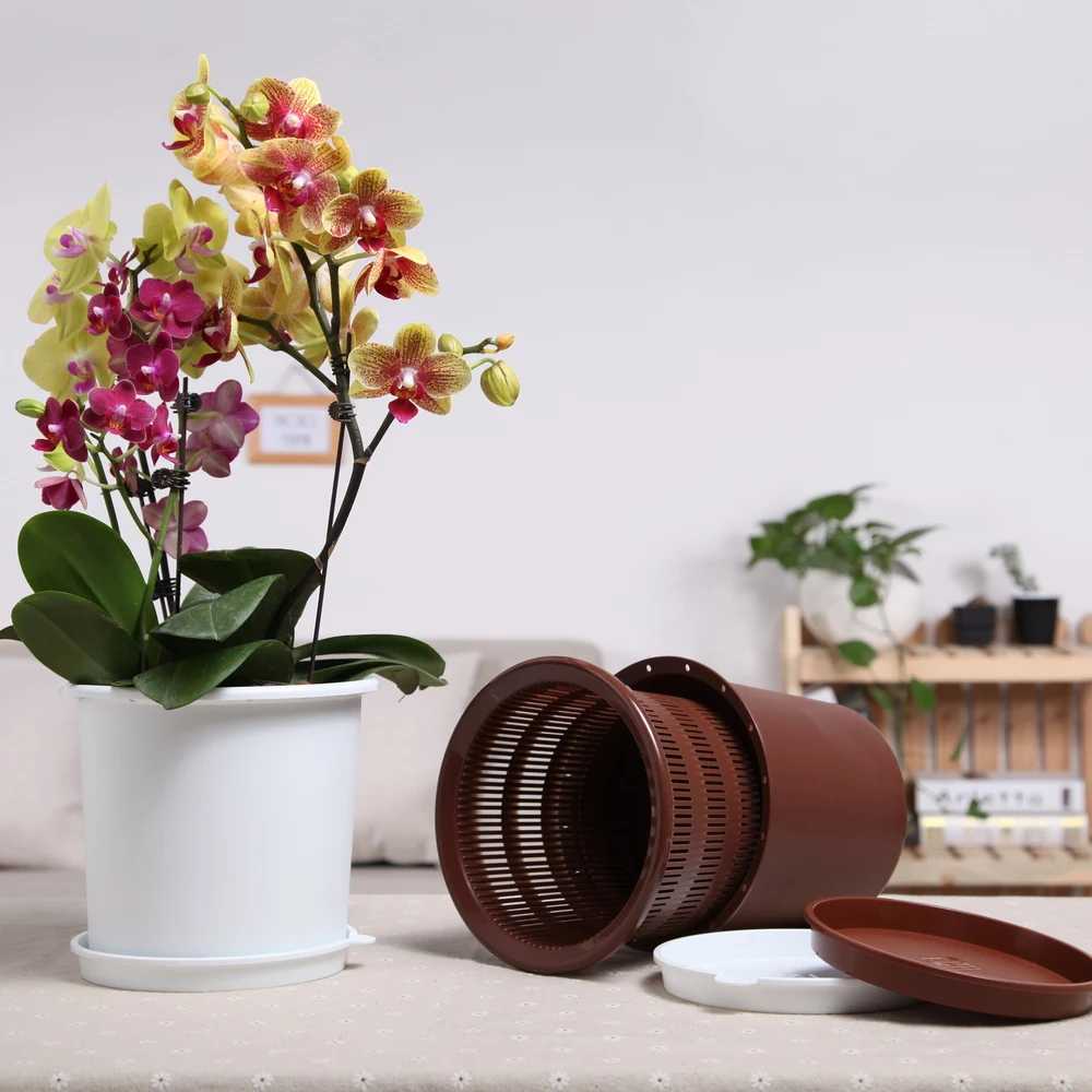 散装塑料花双壁播种机花园供应商花盆在保健 pp 塑料材料