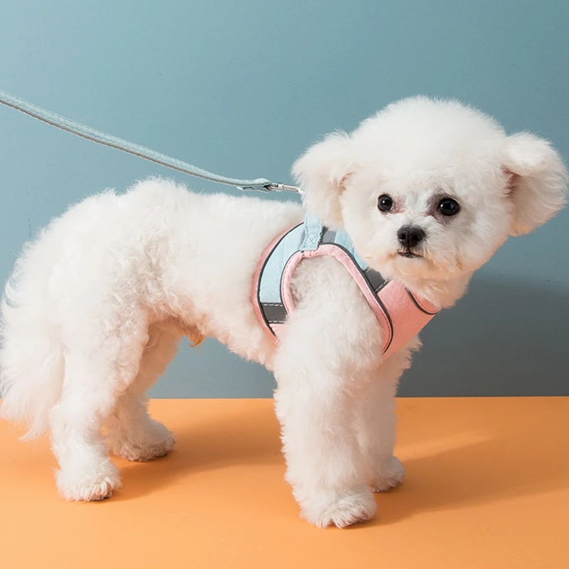 

Custom Luxury adjustable soft Suede Best Retractable Dog Leather Dog Harness And Leash, Orange, pink, blue