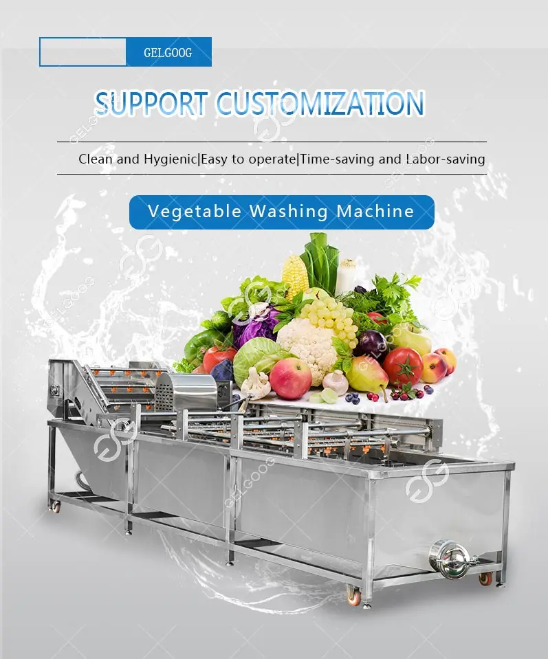 Continuous Fruit Vegetable Salad Tomato Cleaning Drying Line Date Apple