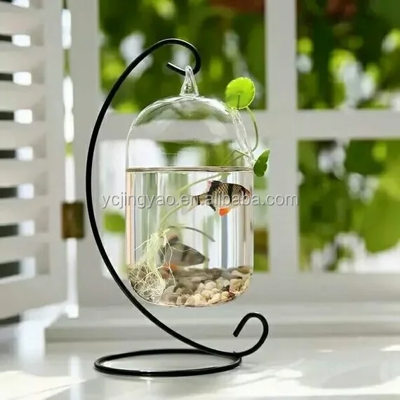

Hand Blown Transparent Glass Bubble Round Shape Terrarium Hanging Glass Orbs Vase for Home Decoration, Clear transparent