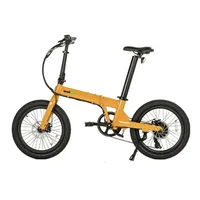 

Larger Capacity Qualisports 20inch 350W Electric Foldable Bike