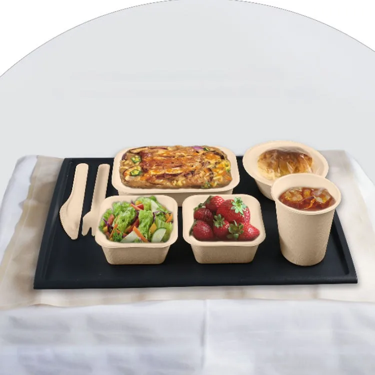 Airline Bagasse Casserole