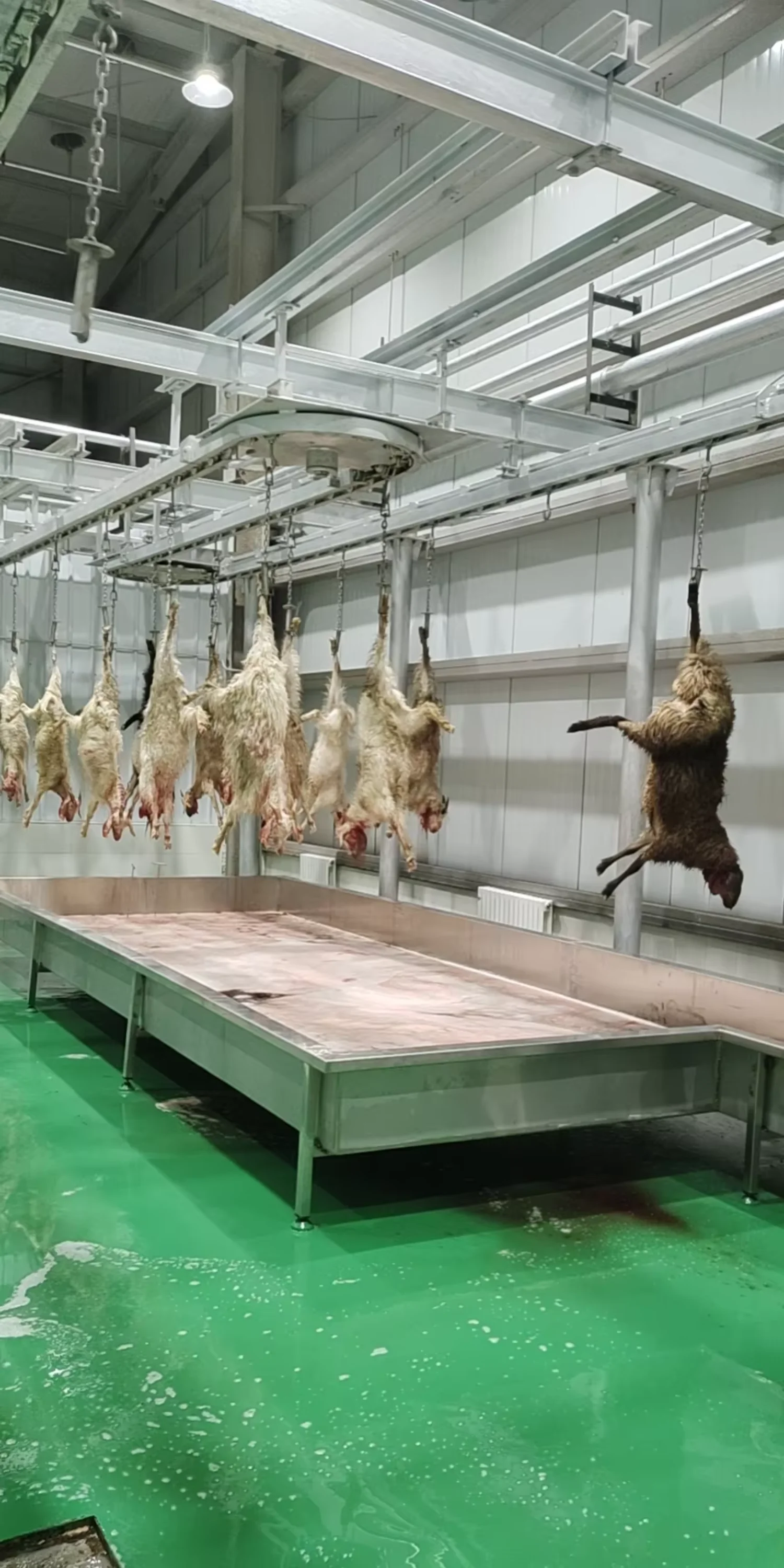 Automatic Halal Sheep Slaughtering Line Complete Goat Abattoir Machine Industrial Sheep Hair RemoveMachine for Meat Plant