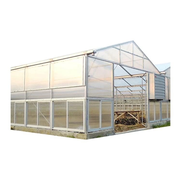 greenhouses polycarbonate professional