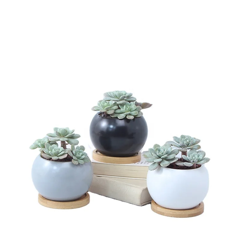 

Custom mini white cheap plant pot bamboo tray small flower pot ceramic succulent planter pot with saucer, Black/white/light grey