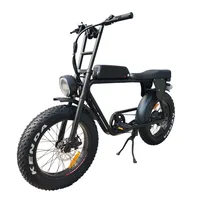 

2019 harley style 13Ah super powered fat tire 48v 500w 750w 1000w rear mid drive motor electric bicycle bike new model