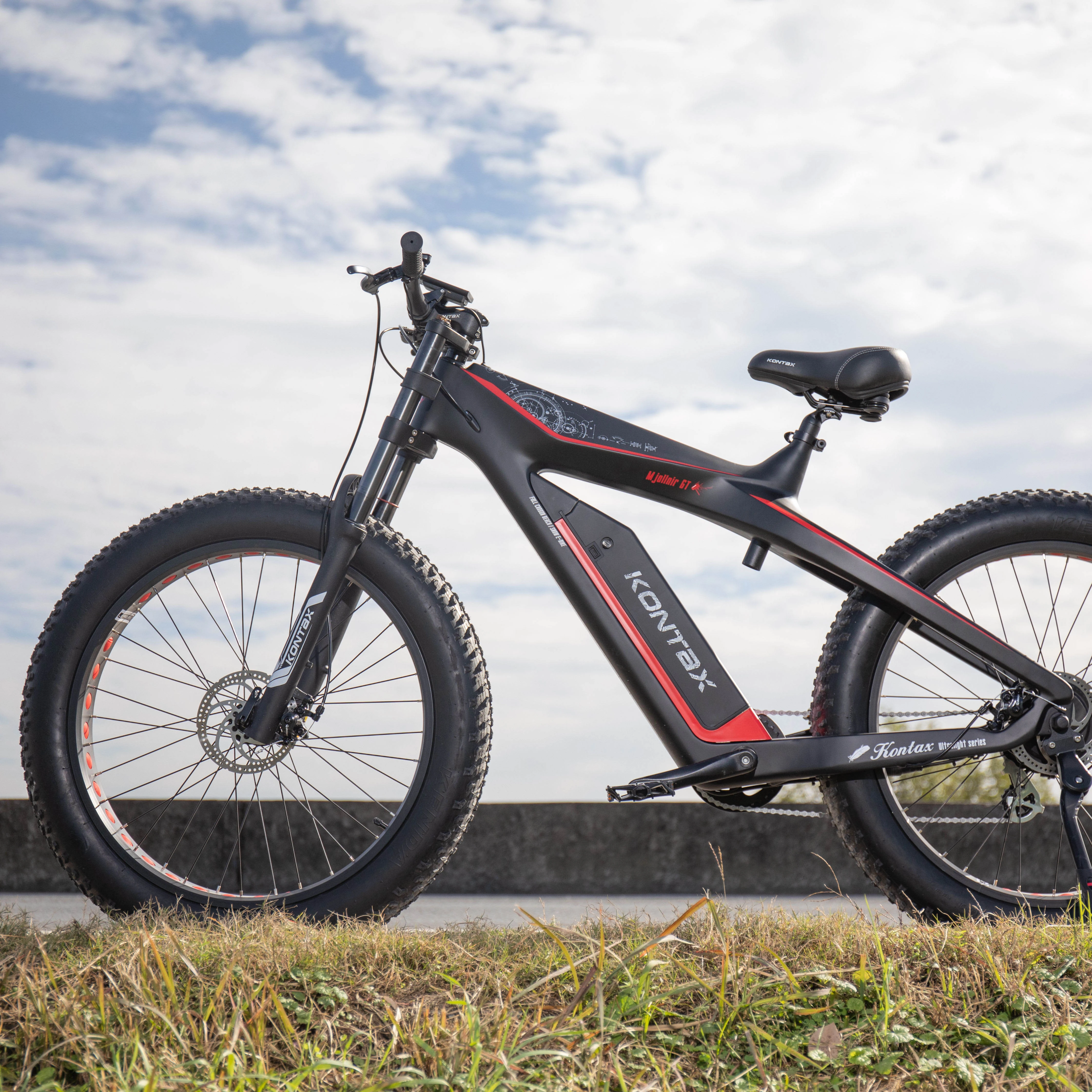 

China Factory Electric Bike 48V Fat Tire Electric Bike Mountain Bike 1000w Electric Bicycle for Adult, Customized
