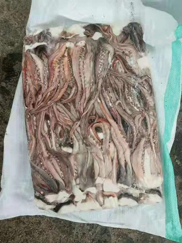 squid tentacles 1.jpg