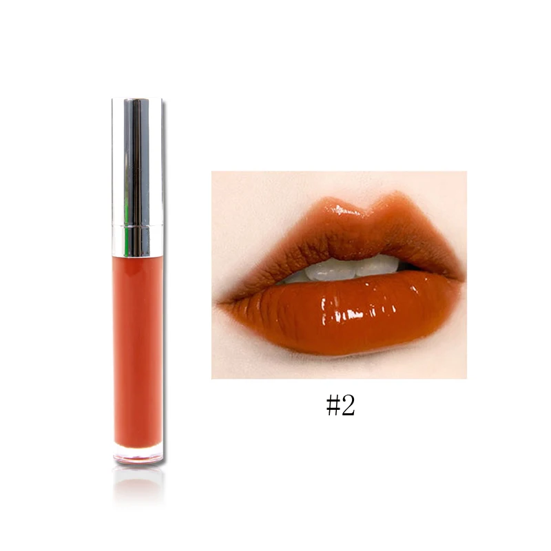 

Wholesale Vegan 5 Color Lip gloss Vendor No Logo Matte Glossy Lipgloss
